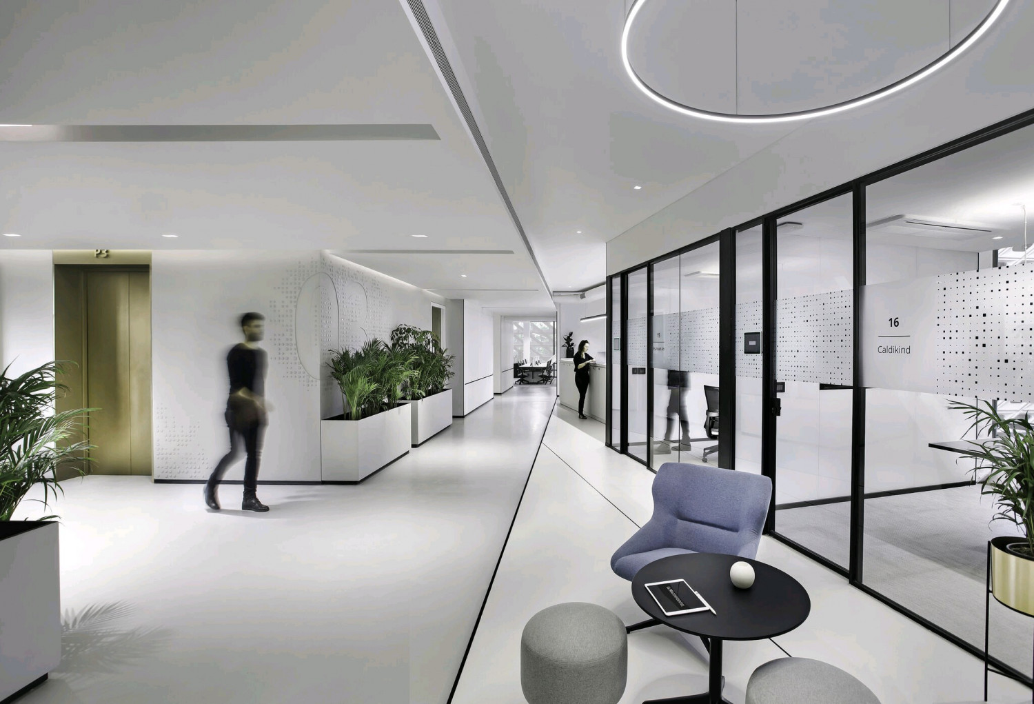Fully Furnished Office Space, Sector-62, Noida, Up-201301 photo 1